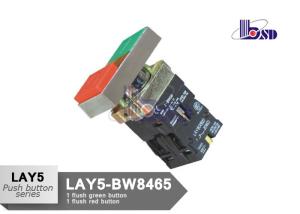 Red Green Flush Push Button Switch As Indicating Signals LAY5（XB2）-BW8465
