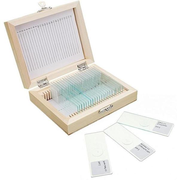 Cheap Prepared 25pcs Lab Research Odm Histology Microscope Slides for sale
