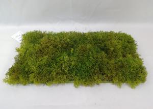 China Lifelike 25X50CM Green Faux Grass For Landscape Decoration on sale