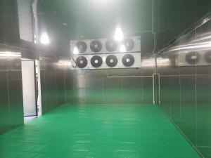 China 100 Square Meter Cold Storage Room -18­°C Stainless Steel Frozen Meat Freezer Room on sale