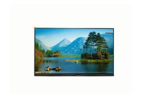 China Anti Reflective LCD TFT Display Panel Transmissive 11.6 Inch IPS LCD Screen on sale