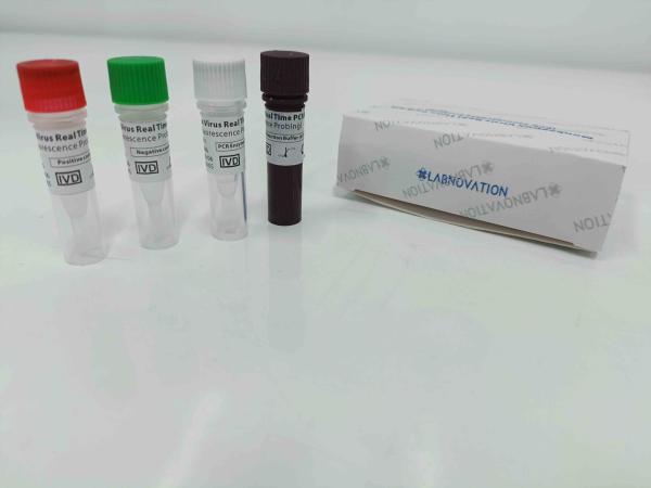 Cheap Real Time Monkeypox PCR Test Kit With Positive / Negative Control for sale