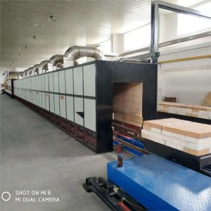 Best Customized Ceramic Tunnel Kiln Continuous Automatic Temperature Controlling Nature Gas wholesale