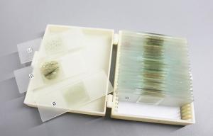 Shockproof 24pcs Rock Microscope Slides For Educational Lab