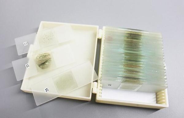 Cheap Shockproof 24pcs Rock Microscope Slides For Educational Lab for sale