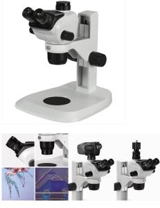 China Up - Down Illumination Stereo Zoom Binocular Microscope / Trinocular Stereo Microscope on sale