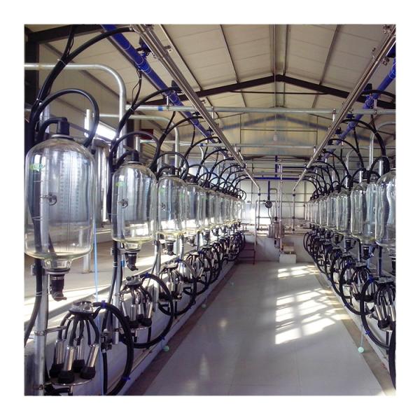 Cheap PVC pipeline 380V Herringbone Milking Parlor With Electronic Milk Meter for sale