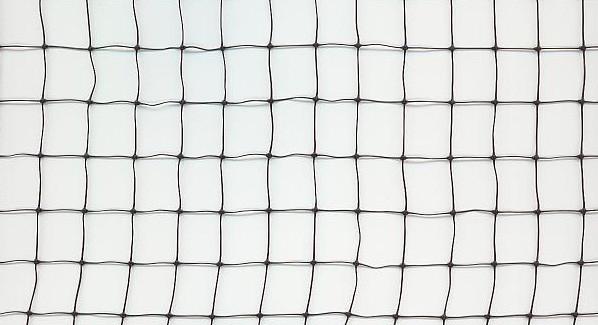 Cheap Square Mesh Anti Bird Netting for sale