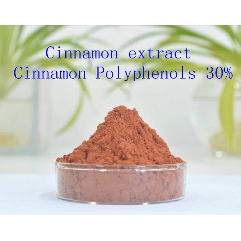 Highest Content/Cinnamon Bark Extract Polyphenols 20%-30% powder