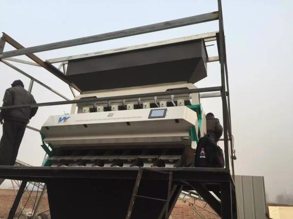 Cheap 7 Chutes Buckwheat Color Sorter 448 Channels Automatic Colour Sorting Machine for sale