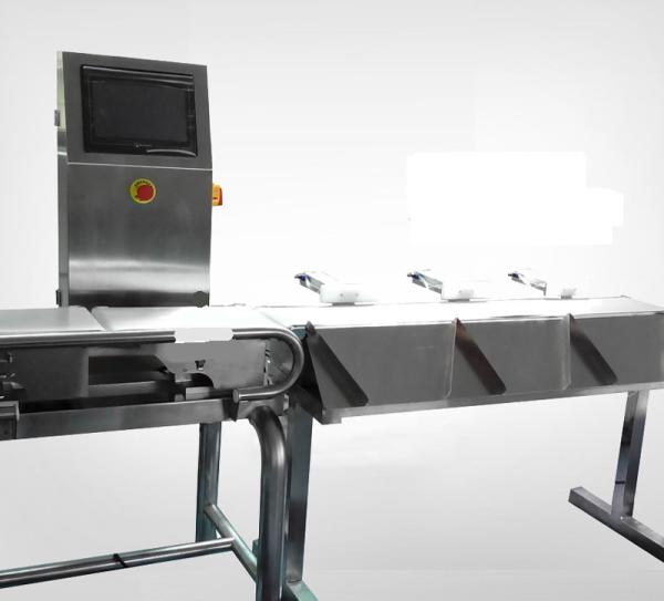 Low Noise Conveyor Weight Checker , Automatic Sorting Machine With Multi Sorting