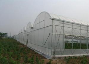 Best Bird Control Net, Pest Netting Fabrics, Crop Saver Insect Net, Direct Factory Supply, 100% New HDPE Material, Eco-friend wholesale