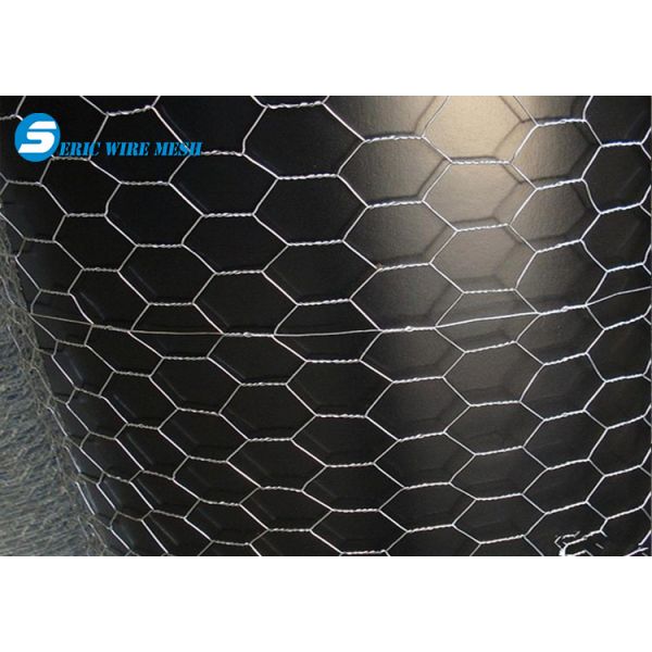 Fish trap wire/Chickn wire/fish trap hexagonal wire mesh