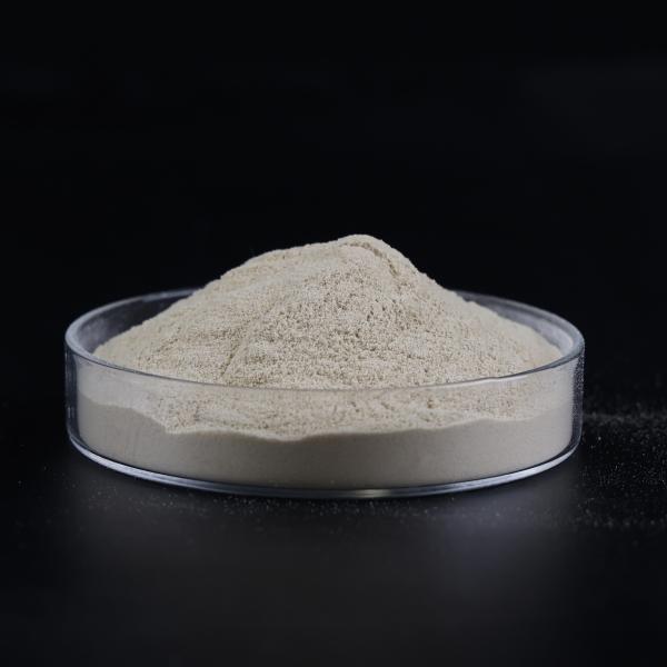 Cheap Lignosulfonate Anionic Surfactant , Concrete Admixture Water Reducing Agent for sale