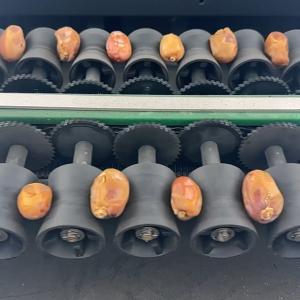 Best Seamless Integration Date Sorting Machine With State Of The Art Technology wholesale