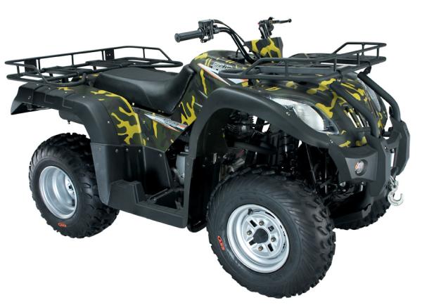 Cheap 250cc ATV Battery Powered All Terrain Vehicle Hand Controlled 4x2 Off Road Snow for sale