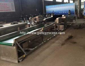 China Garlic Dry Cleaning Machine on sale