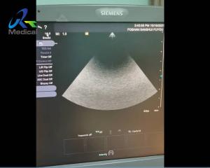 Siemens S1000 Ultrasound Machine Repair Service No Image And Waveform In Mode And Can'T Switch To 14L5 Probe