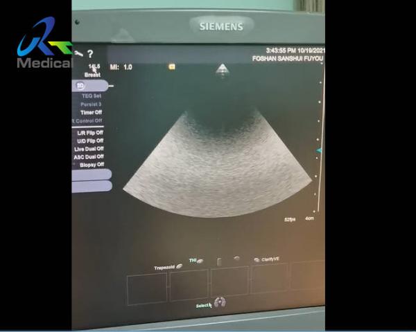 Cheap Siemens S1000 Ultrasound Machine Repair Service No Image And Waveform In Mode And Can'T Switch To 14L5 Probe for sale