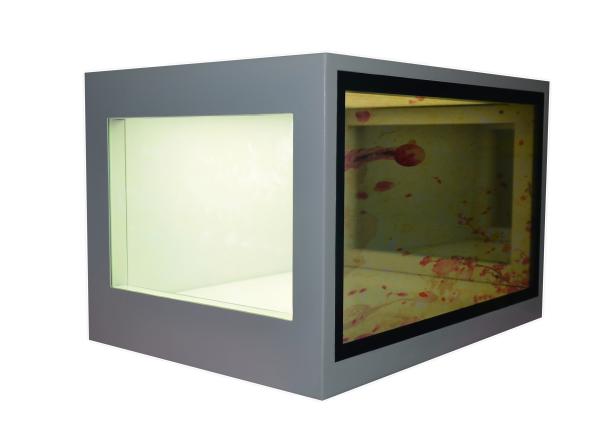 Cheap 21.5 Inch Transparent LCD Screen Custom Accepted See Through LCD Display for sale