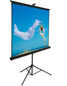 Best Projection screen tripod stand , 70 x 70 projection screen for Education / Business wholesale