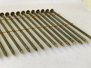 China Length 25mm-130mm Wire Weld Coil Nails Roofing 15 Degree Coil Framing Nails on sale
