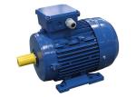 Best Meat Slicer IP54 0.09kw 0.12HP 3 Phase Induction Motor wholesale