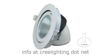 China 15W Downlight LED Epistar COB Chip 100-240V AC Certificates CE and RoHS on sale