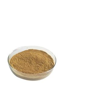 Best Artificial 18% Banaba Leaf Extract Corosolic Acid Food Grade wholesale