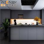 Hidden Hinges and Durable MDF Small Size Door for Smart Kitchen Pantry Cabinet