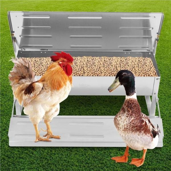 Cheap CE Self Opening 8.2L Automatic Timer Chicken Feeder for sale