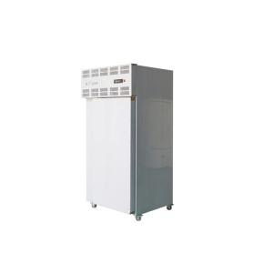China Multifunctional Temperature Controller For Blast Freezer Blastt Freezer With Low Price on sale