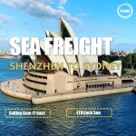 Best WIFFA China To Australia Sea Freight Services From Shenzhen To Sydney Fast Transit Time wholesale
