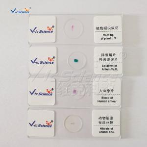 Best Medical Doctors 25pcs Biological Microscope Slides wholesale