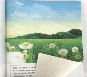 380gsm Blank Canvas Roll , Blank Wrapped Canvas With ISO Certificate