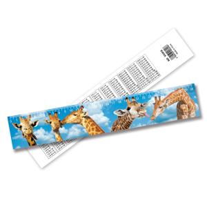 Best Customized 3D Lenticular Ruler High Definition Strong 3D Effect wholesale
