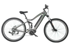 China Aluminum Alloy Electric Assist Mountain Bike Lithium Battery LCD Display on sale