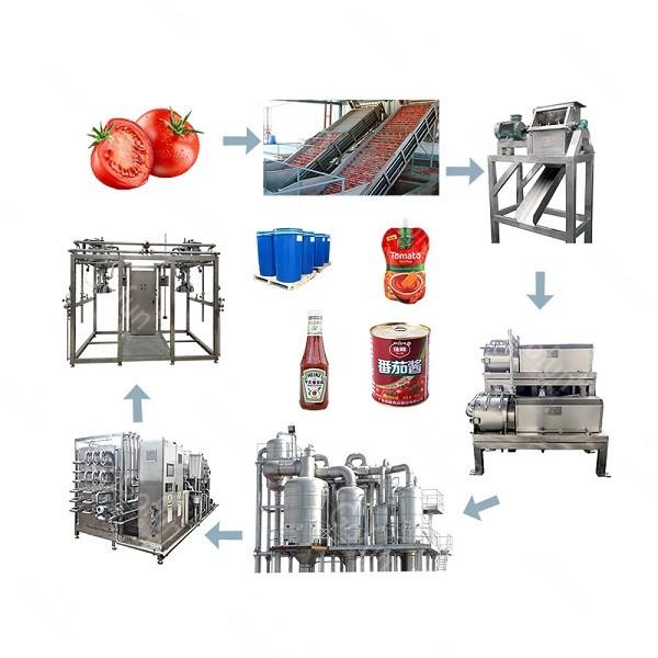 Cheap Industrial Mechanized Tomato Ketchup Production Line Aseptic Bag Package for sale