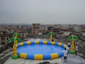 China 10m Diamter Round Inflatable Kids Pool with Palm Trees on sale