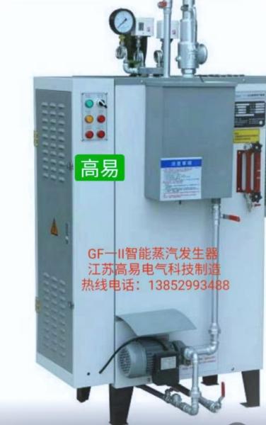 Cheap New design small Cheap industry electric heating steam boiler for car cleaning for sale