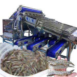 Best Industrial Prawn Sorting Machine Multiscene Waterproof Automatic wholesale
