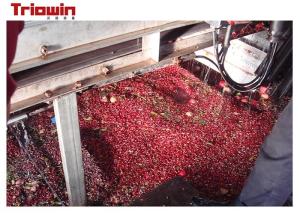 Best Passion Fruit Juice Production Machine , Ring Pull Can Fruit Juice Processing Plant wholesale