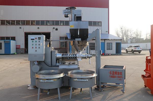 Cheap Complete Olive Screw Oil Press Machine Coconut Oil Production Line Small Scale for sale