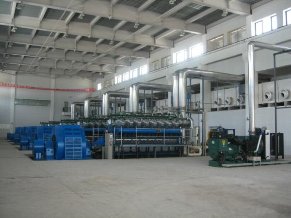 Cheap 11000V Stationary / Land Diesel Gas Engine Power Plant CCS BV Certification for sale