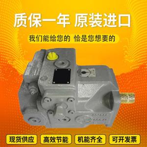 A4VSO71LR2G/10R-PPB13N00		A4VSO71EO1/30R-VPB13N00 Rexrothvariabledisplacementpistonpumpcastironspotinventory