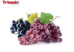 Grape Fruit Wine Beverage Production Line Grape Juice Pasteurizing Machine