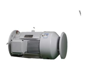 YE3 280S-2 75KW Variable Frequency AC Asynchronous Motor H80 H355 Frame