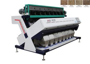 Best High Capacity Wheat Color Sorter Machine Precise Professional Sorting Solutions wholesale