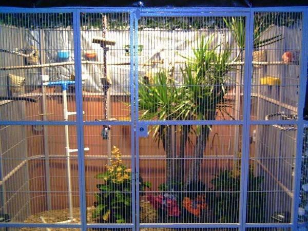 Cheap zoo aviary mesh weld mesh and flexible rope mesh for sale