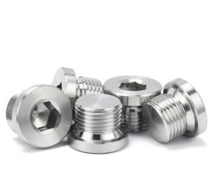 M12 M14 Stainless Steel Ss304 Hex Socket Screw Plug DIN908